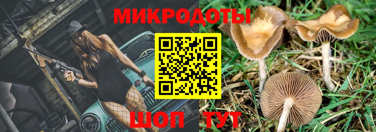 Галлюциногенные грибы мухоморы Баксан